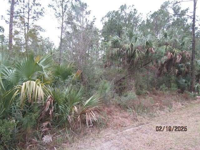0.14 Acres of Residential Land for Sale in Apalachicola, Florida