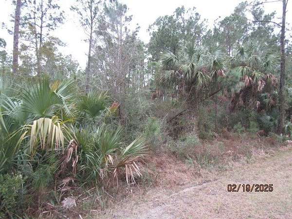 0.14 Acres of Residential Land for Sale in Apalachicola, Florida