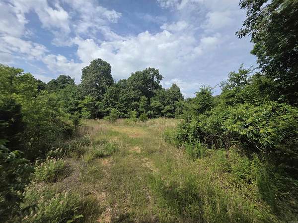 15.8 Acres of Recreational Land for Sale in Rector, Arkansas