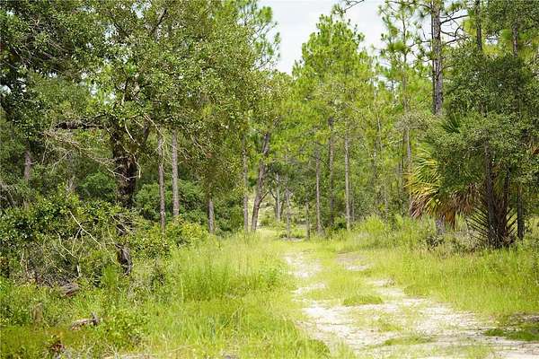22.8 Acres of Land for Sale in Morriston, Florida