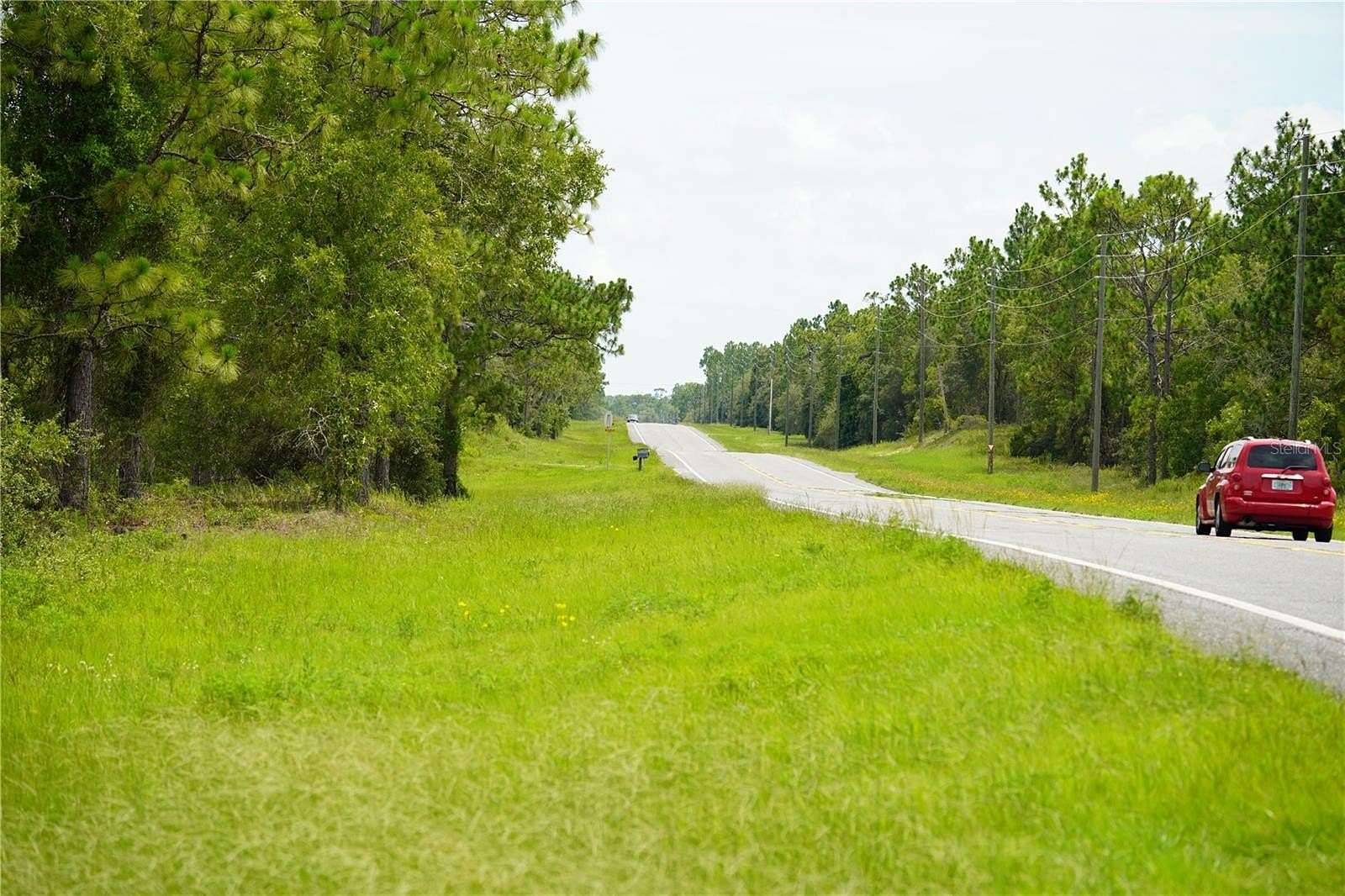 44.8 Acres of Land for Sale in Morriston, Florida