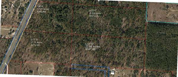 22 Acres of Land for Sale in Morriston, Florida