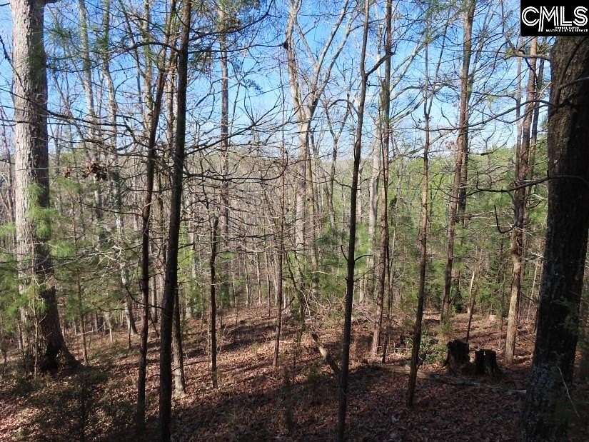 16.5 Acres of Recreational Land for Sale in Winnsboro, South Carolina