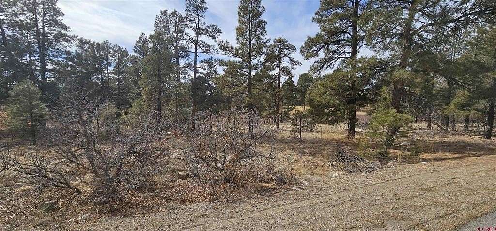 0.32 Acres of Residential Land for Sale in Pagosa Springs, Colorado