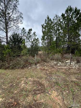 1 Acre of Residential Land for Sale in Milton, Florida