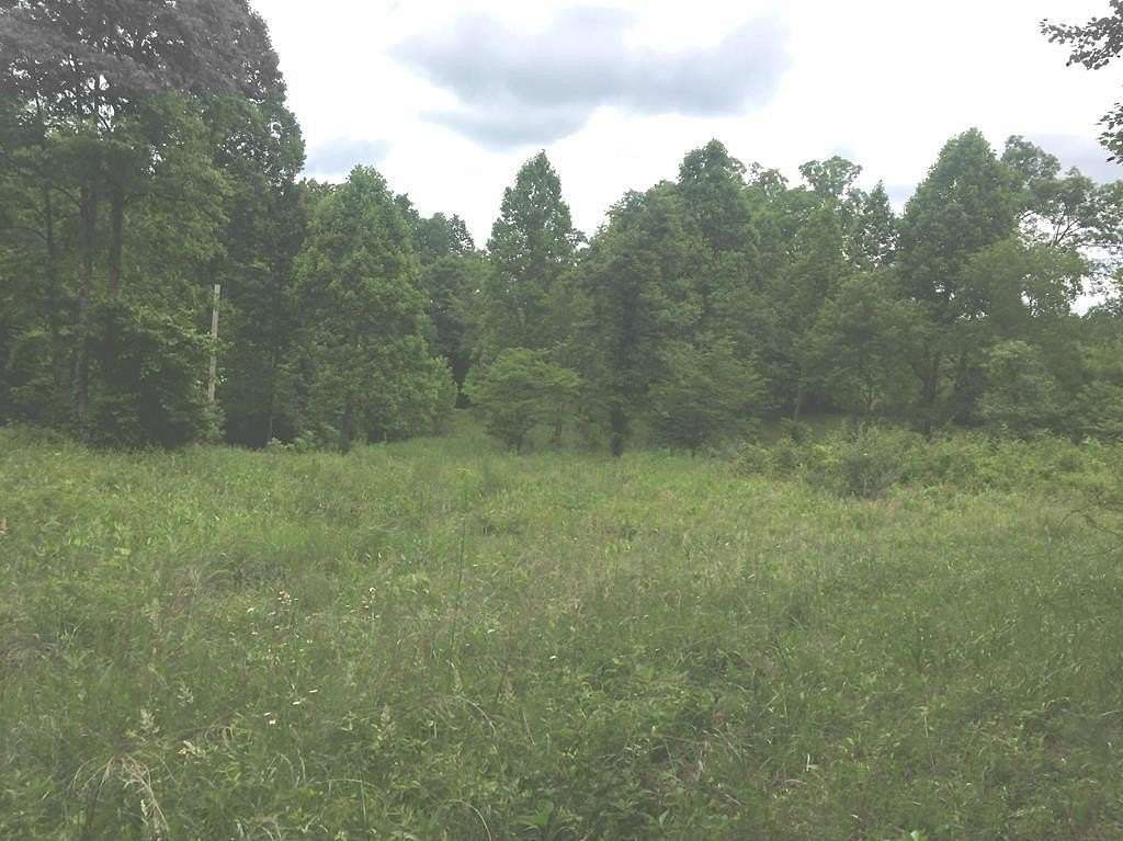 34.5 Acres of Land for Sale in Louisa, Kentucky