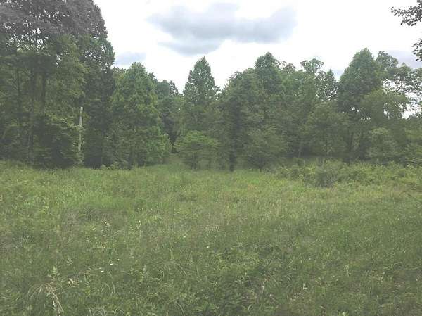 34.5 Acres of Land for Sale in Louisa, Kentucky
