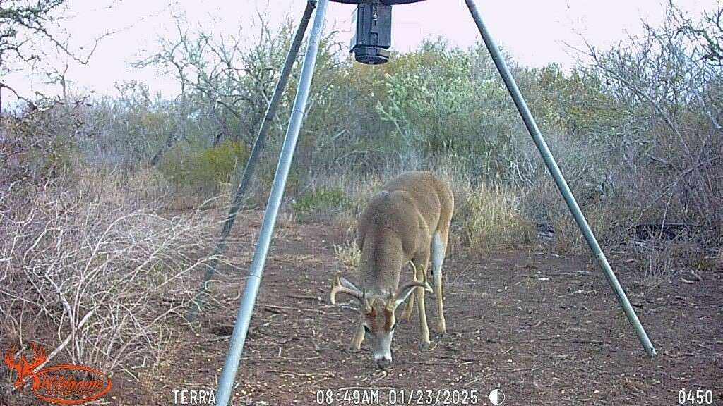 11.3 Acres of Recreational Land for Sale in San Diego, Texas