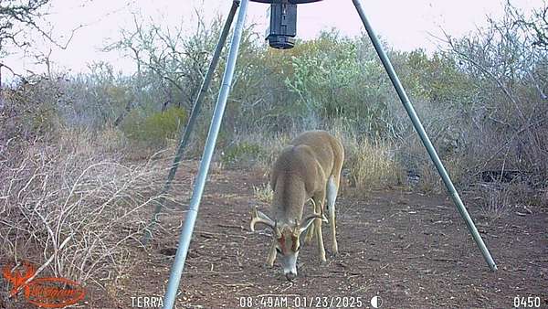 11.3 Acres of Recreational Land for Sale in San Diego, Texas