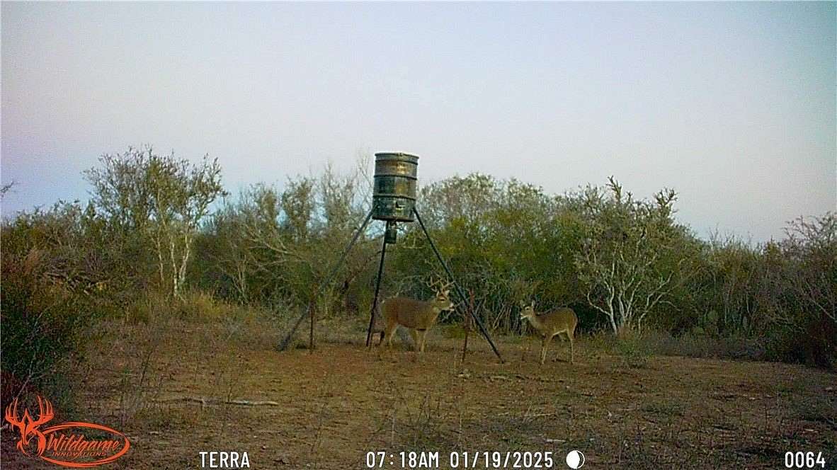 13.9 Acres of Land for Sale in San Diego, Texas