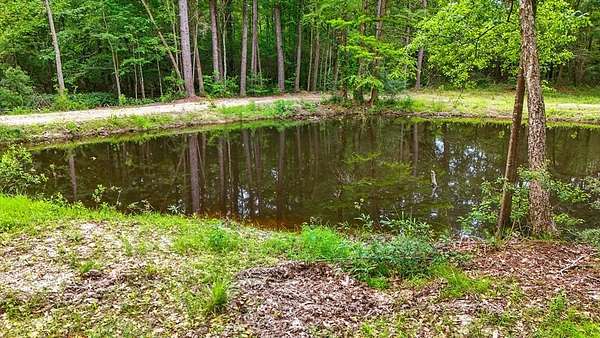 8 Acres of Land for Sale in Carriere, Mississippi