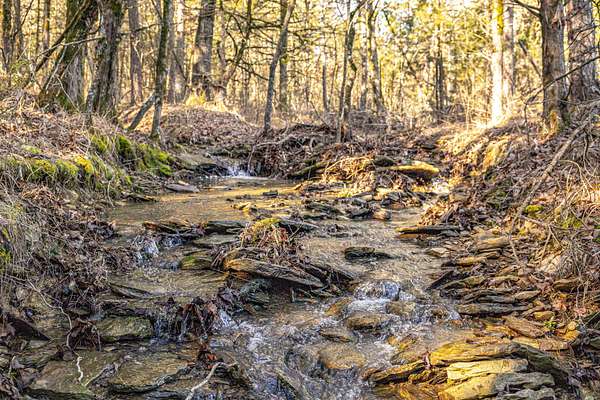 92.5 Acres of Recreational Land & Farm for Sale in Booneville, Arkansas