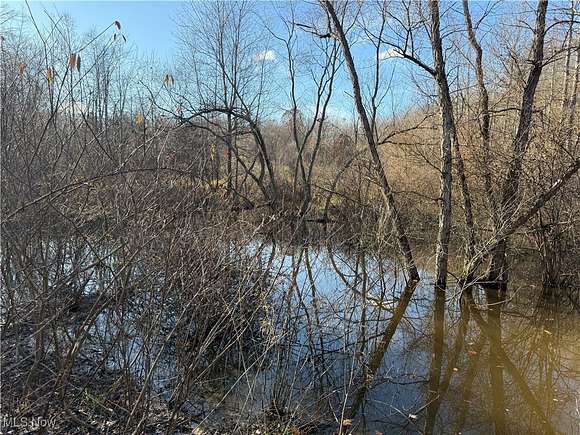 25.4 Acres of Recreational Land for Sale in Ashtabula, Ohio