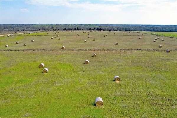 153 Acres of Land for Sale in Caldwell, Texas