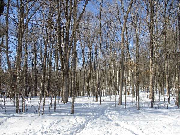 0.51 Acres of Land for Sale in Birchwood, Wisconsin
