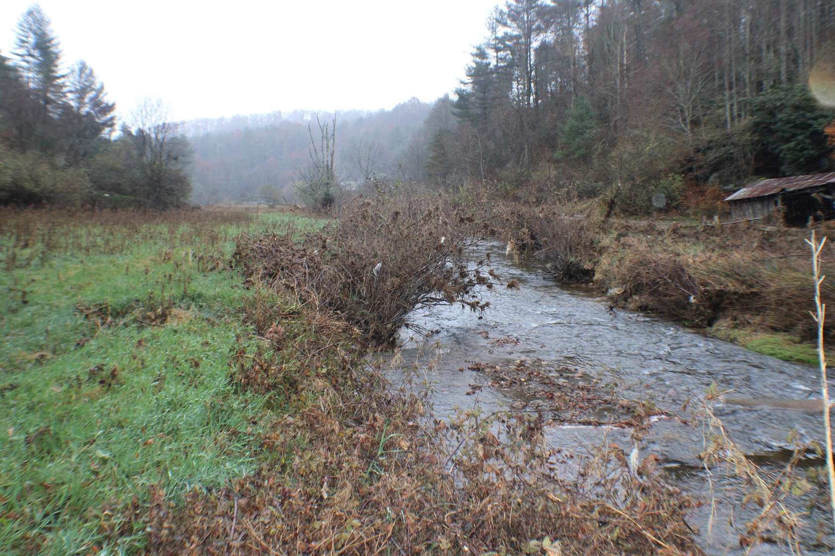 46.7 Acres of Land for Sale in Independence, Virginia