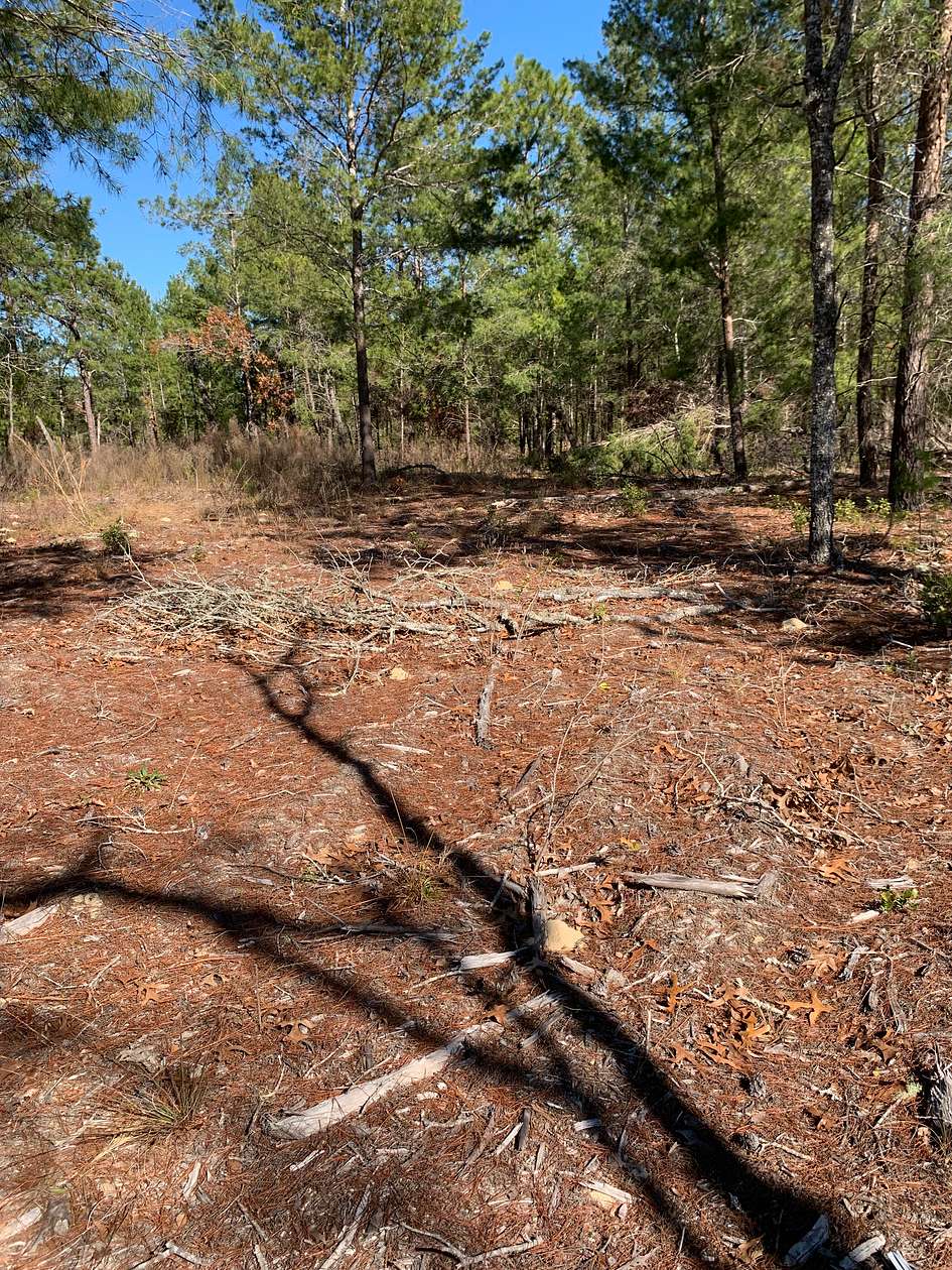 1.73 Acres of Residential Land for Sale in Keystone Heights, Florida