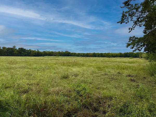 25.1 Acres of Agricultural Land for Sale in Alexandria, Louisiana