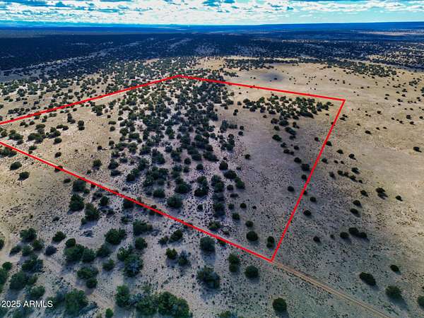 40.8 Acres of Recreational Land & Farm for Sale in St. Johns, Arizona