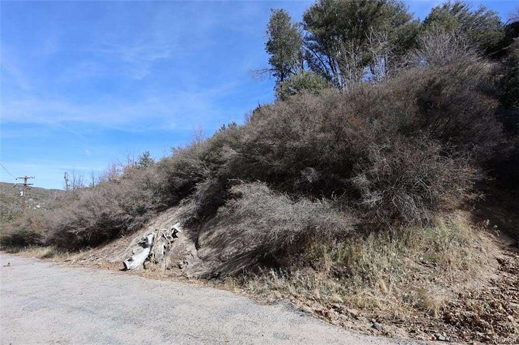 Land for Sale in Cedar Glen, California
