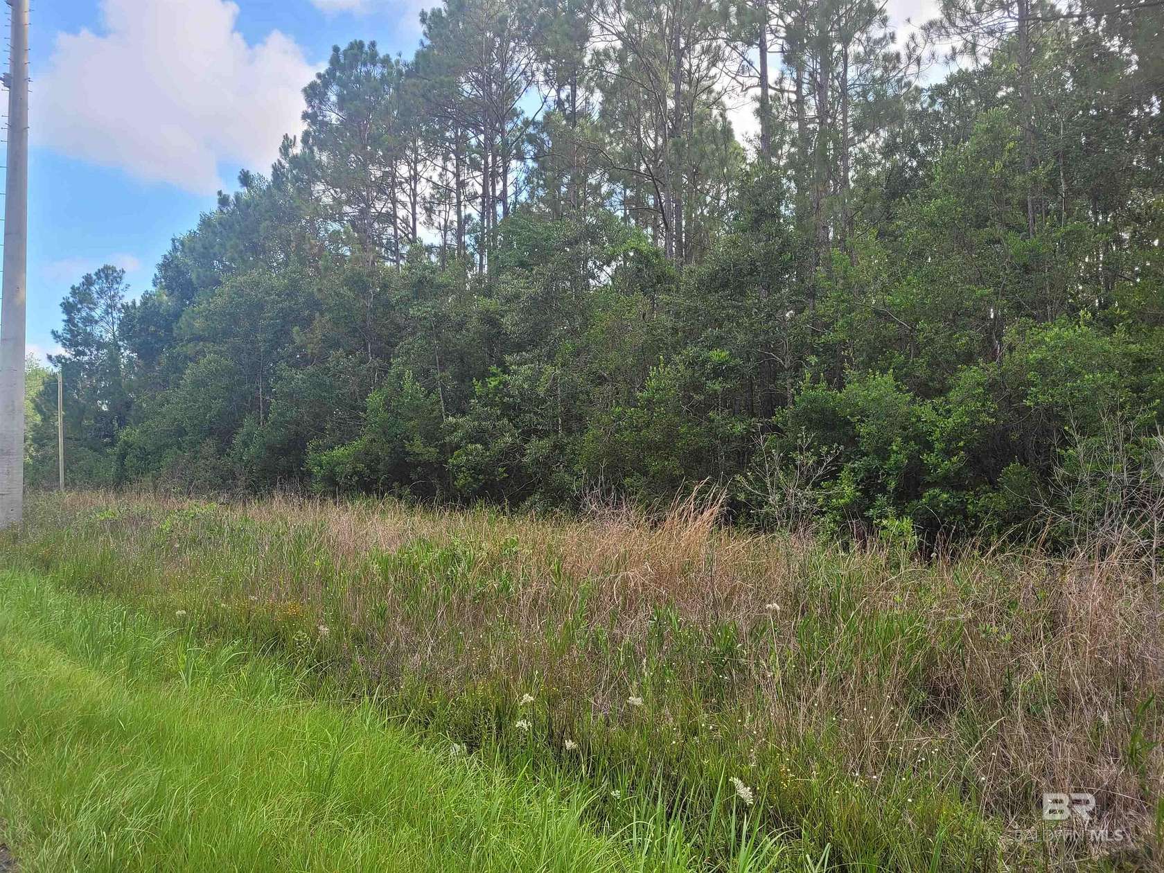 4.25 Acres of Mixed-Use Land for Sale in Theodore, Alabama