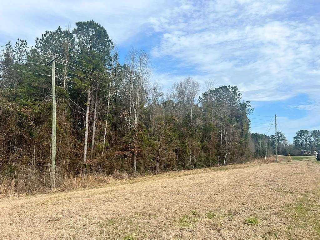 19 Acres of Recreational Land for Sale in Louin, Mississippi