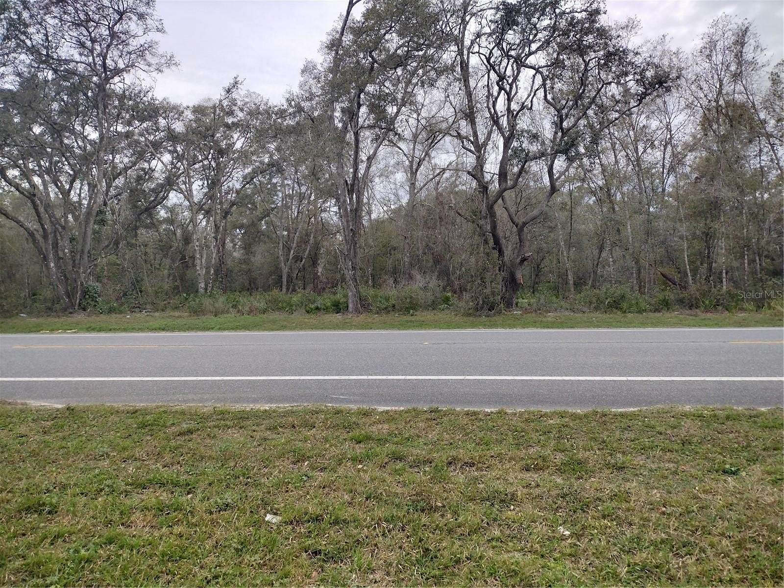 1.38 Acres of Mixed-Use Land for Sale in Webster, Florida