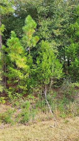 0.37 Acres of Land for Sale in Tuskegee, Alabama