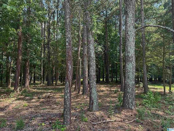 0.66 Acres of Residential Land for Sale in Jacksonville, Alabama