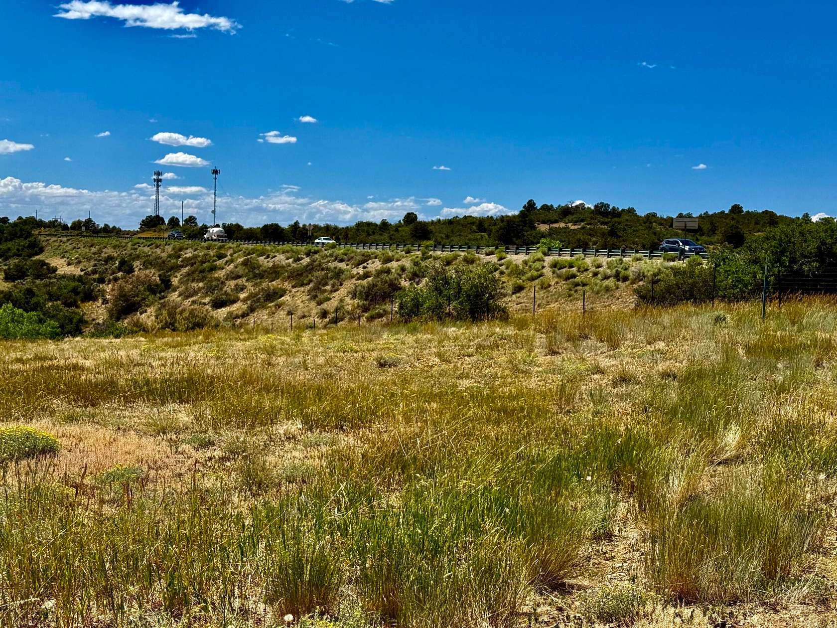 59.2 Acres of Land for Sale in Dolores, Colorado