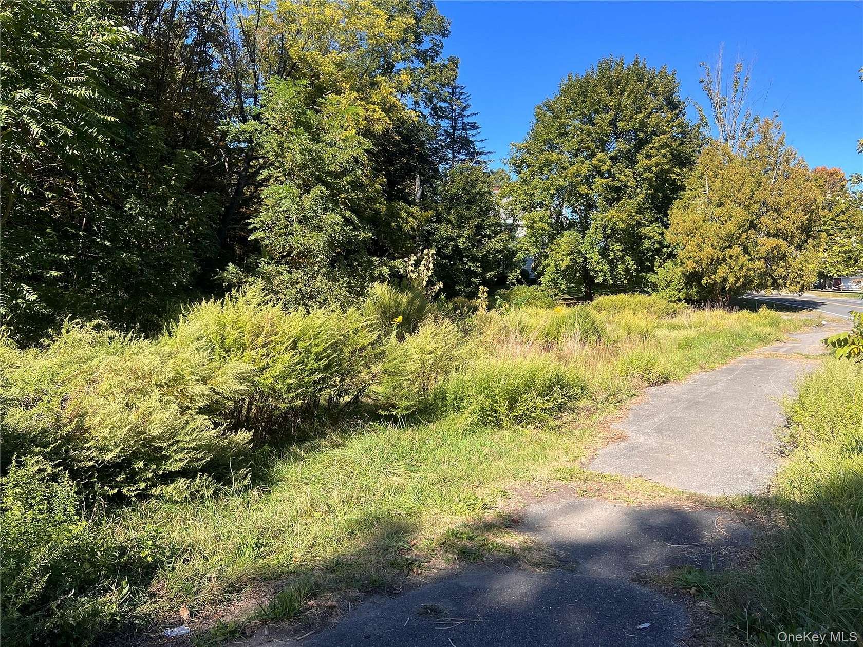 0.2 Acres of Mixed-Use Land for Sale in Napanoch, New York