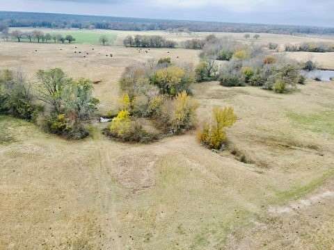 10 Acres of Land for Sale in Sulphur Bluff, Texas