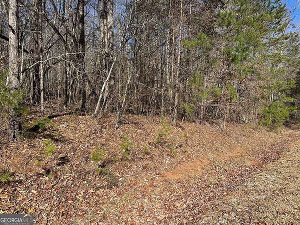 3 Acres of Land for Sale in Martin, Georgia