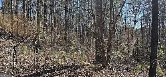 0.58 Acres of Residential Land for Sale in Martin, Georgia