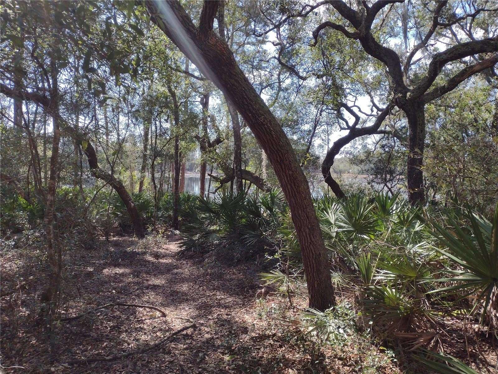 1.88 Acres of Residential Land for Sale in Melrose, Florida