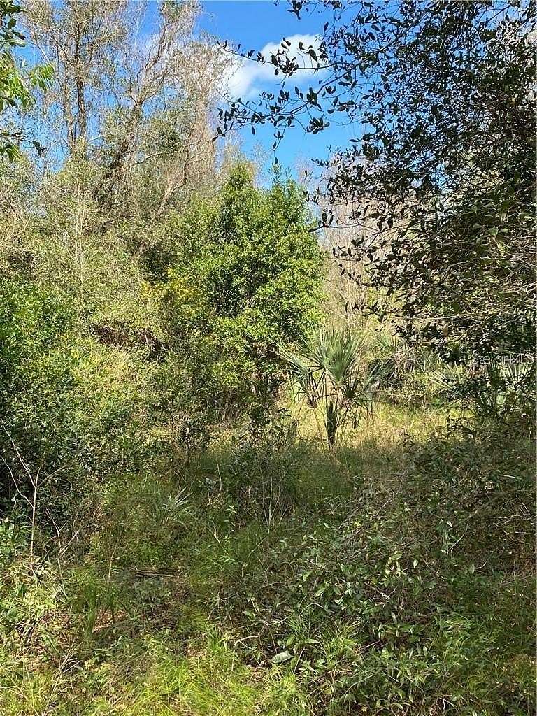 6.69 Acres of Residential Land for Sale in DeLand, Florida