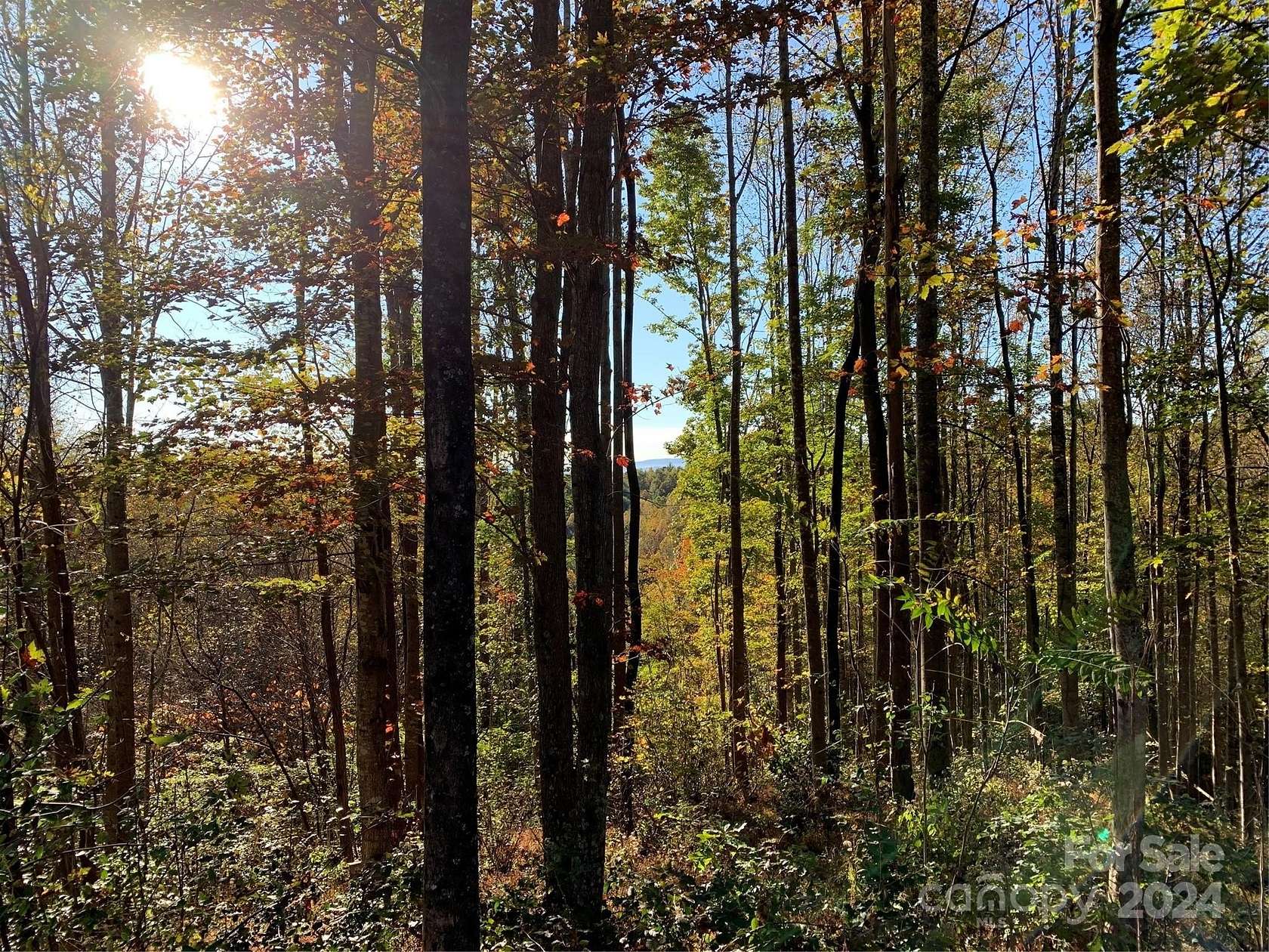 2 Acres of Residential Land for Sale in Lenoir, North Carolina
