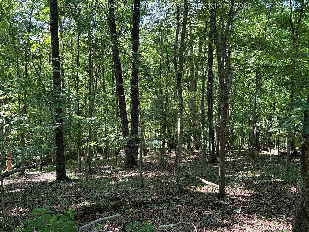 1.88 Acres of Residential Land for Sale in Scott Depot, West Virginia
