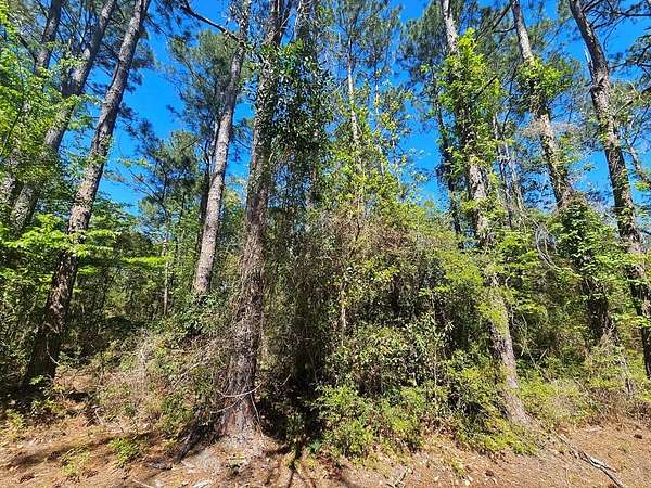 0.11 Acres of Land for Sale in Bay St. Louis, Mississippi