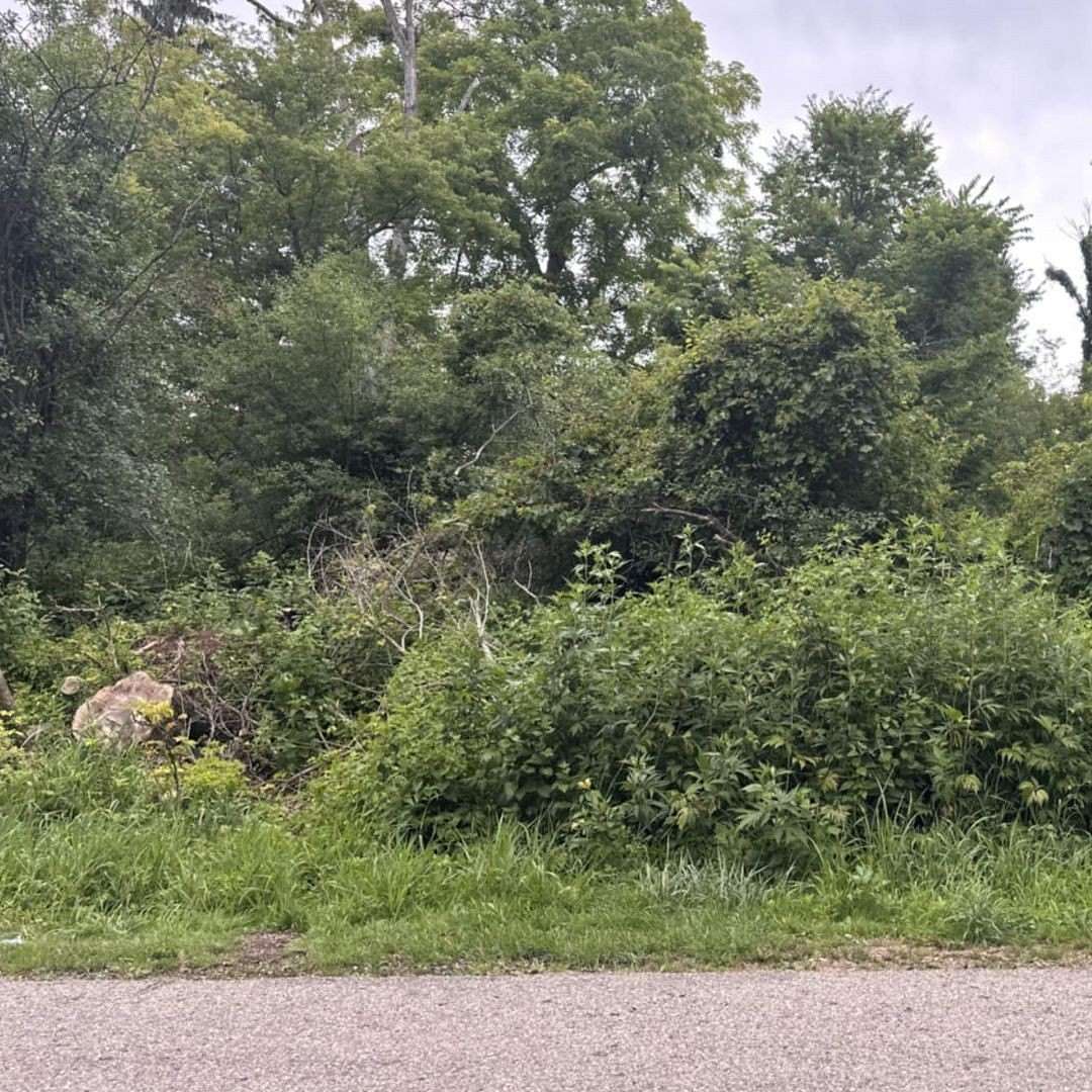 0.28 Acres of Residential Land for Sale in Geneva Town, Wisconsin