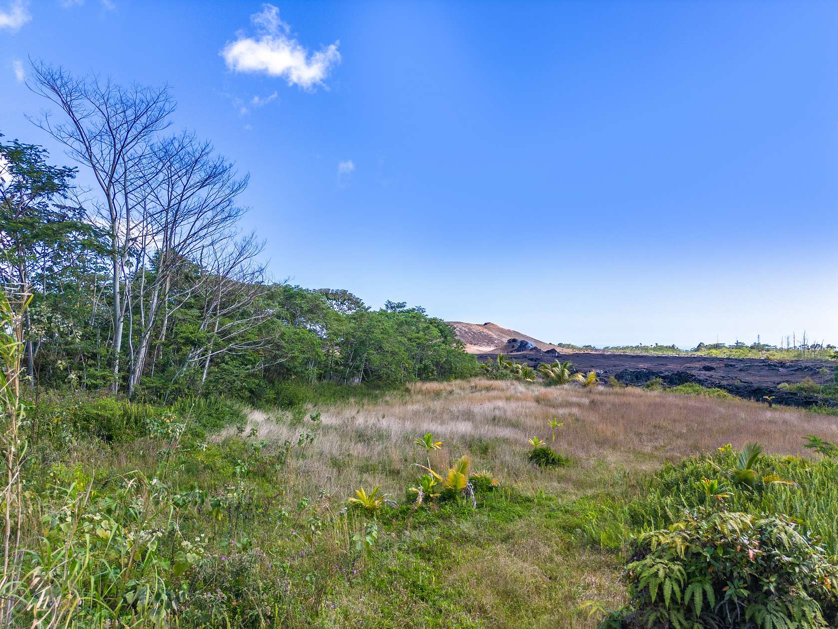 1 Acre of Land for Sale in Pahoa, Hawaii