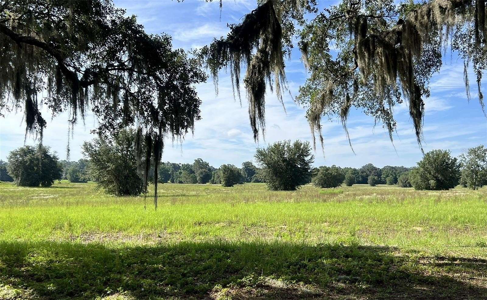 30.6 Acres of Land for Sale in Ocala, Florida