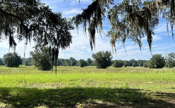 30.6 Acres of Land for Sale in Ocala, Florida