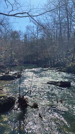 28.9 Acres of Land for Sale in Cove, Arkansas