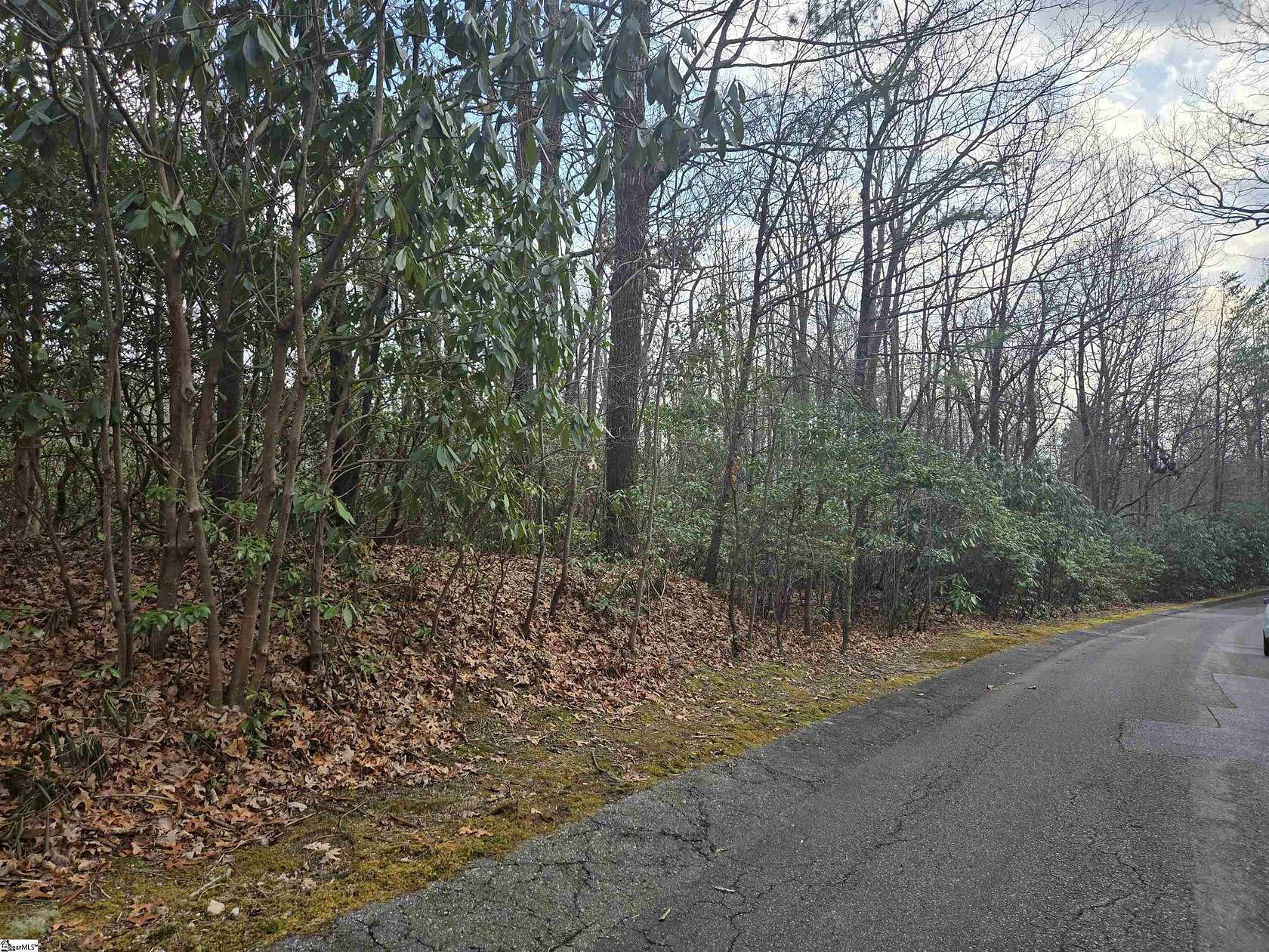 0.55 Acres of Residential Land for Sale in Cleveland, South Carolina