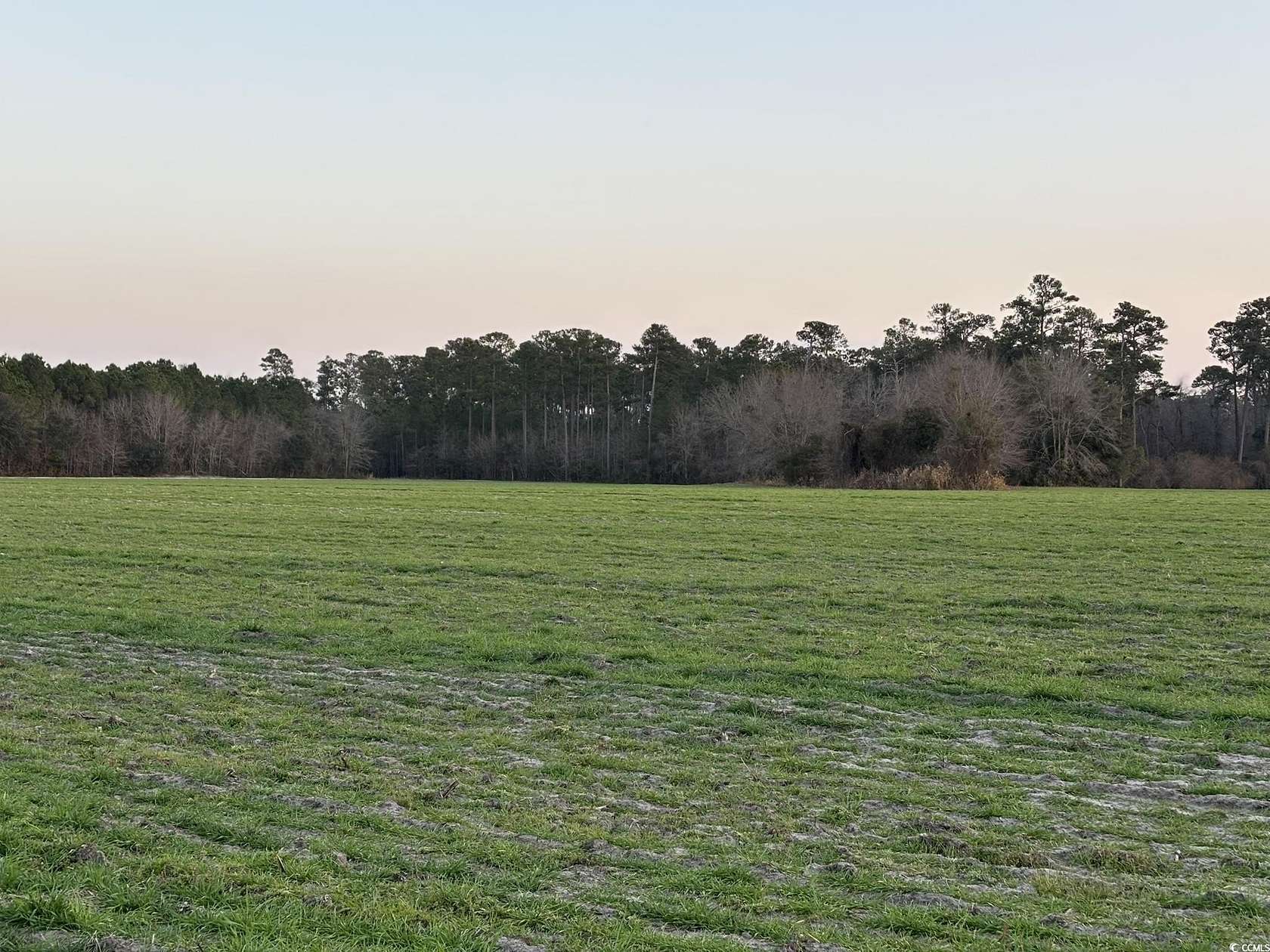 92.9 Acres of Land for Sale in Loris, South Carolina