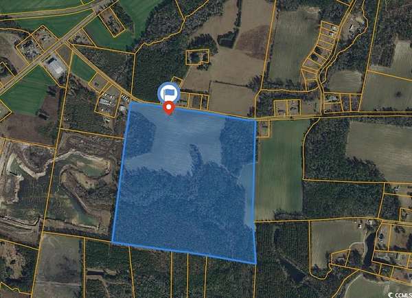 92.9 Acres of Land for Sale in Loris, South Carolina
