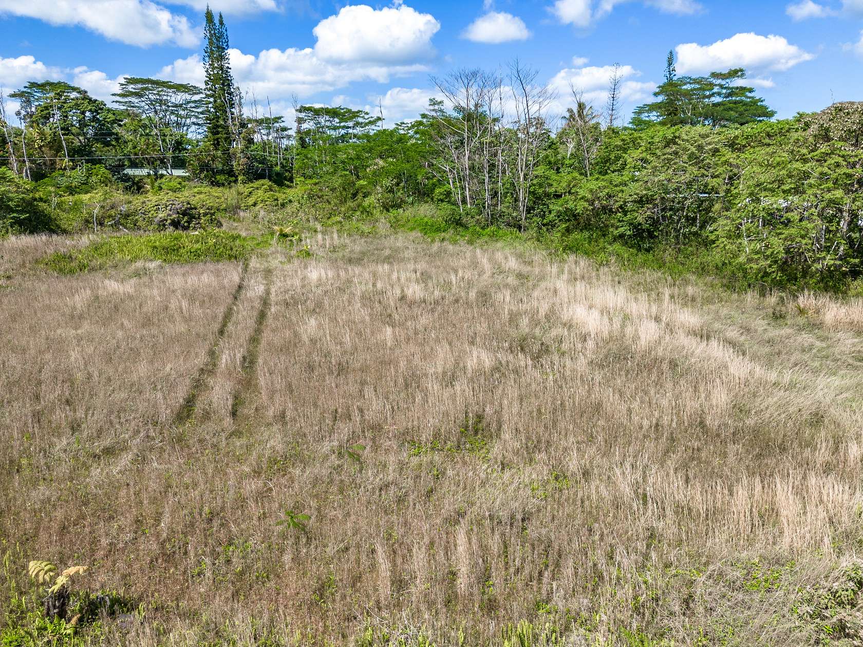 1 Acre of Land for Sale in Pahoa, Hawaii