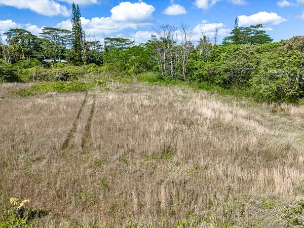 1 Acre of Land for Sale in Pahoa, Hawaii