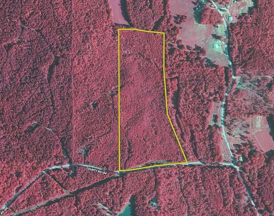 35.9 Acres of Land for Sale in Guntown, Mississippi